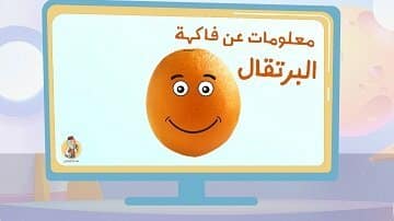 معلومات لطيفة عن فاكهة البرتقال من منصة راويتي
